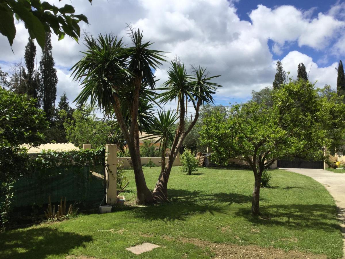 Casa Evi Corfu 1 Lägenhet Potamós Exteriör bild